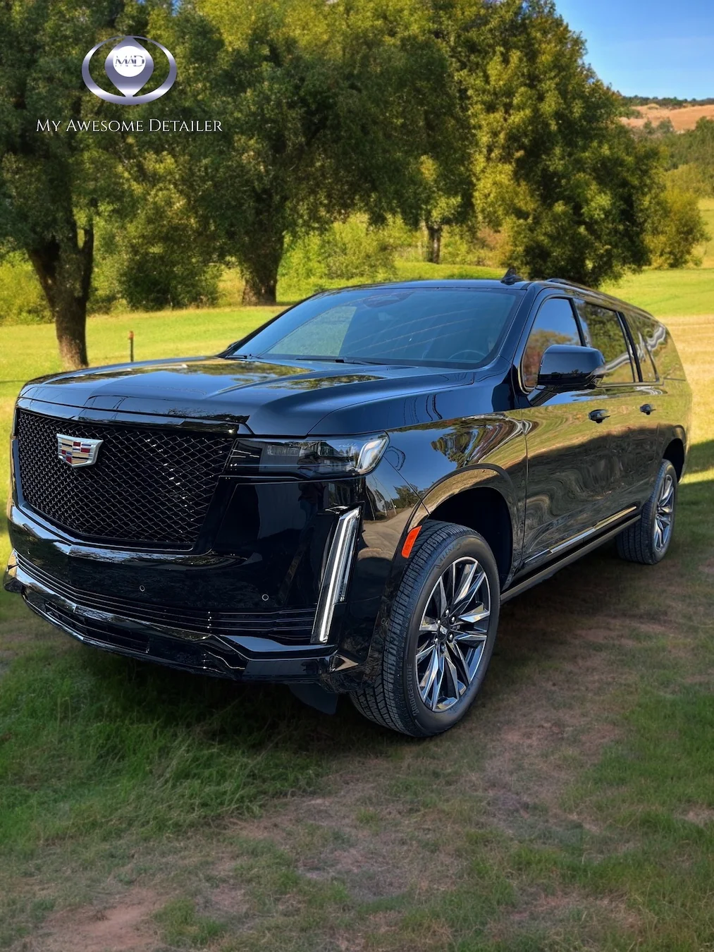 PPF protected Escalade