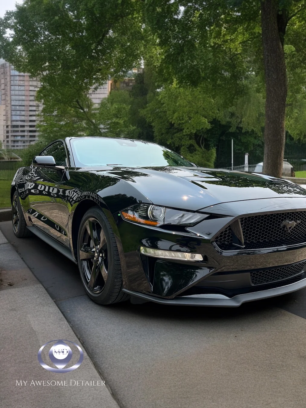 Black Mustang GT PPF protected