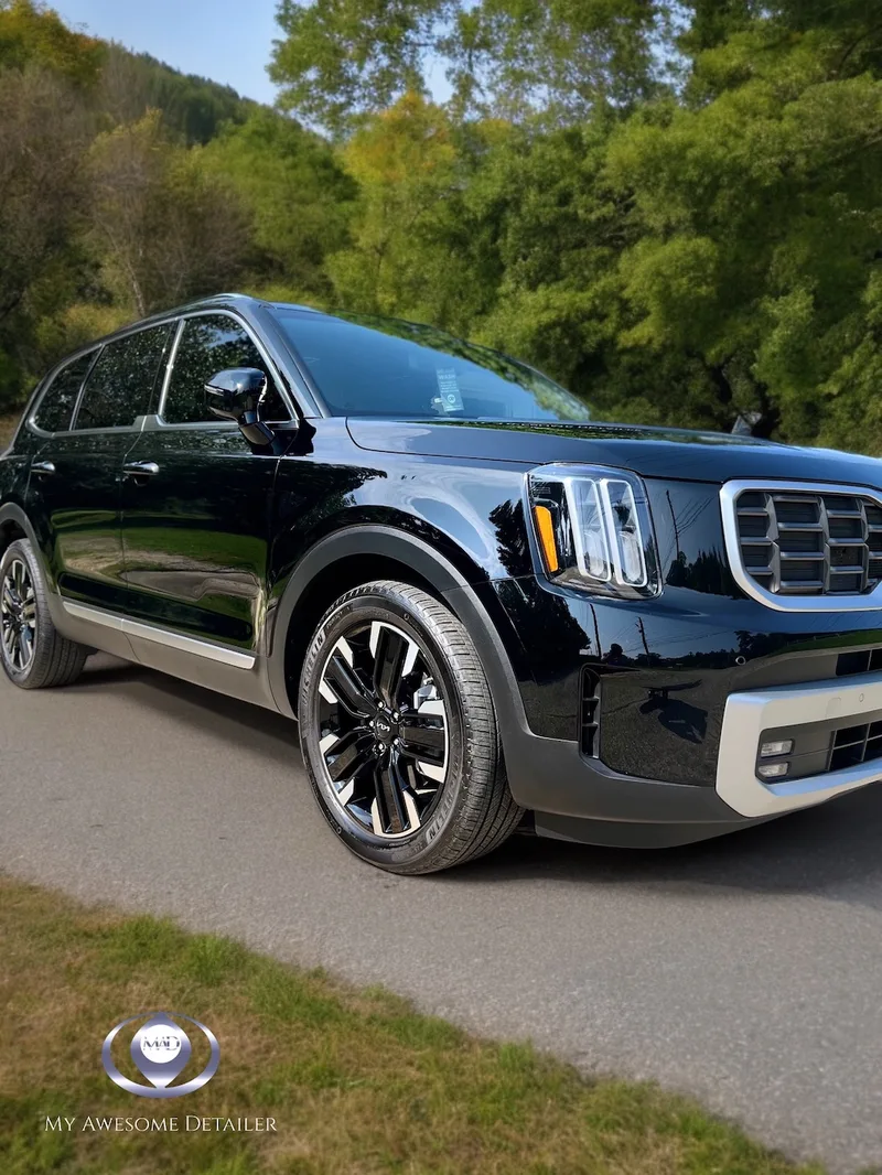 Black Kia Telluride detailed outdoors