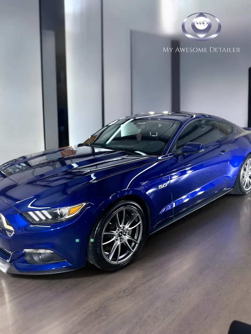 Blue Mustang GT 5.0 PPF in shop
